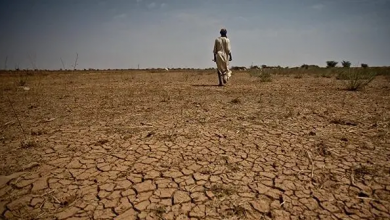 Photo of La maîtrise chinoise de la désertification soutient les efforts écologiques de la Mauritanie (REPORTAGE)