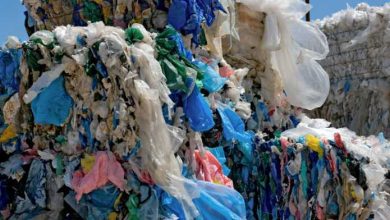 Photo of Quinzaine de l’environnement: Qui tire les ficelles du commerce du sachet plastique?