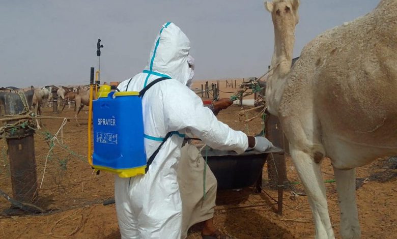 Photo of Santé- Plus un cas de fièvre hémorragique en Mauritanie, rassure le ministre de la santé