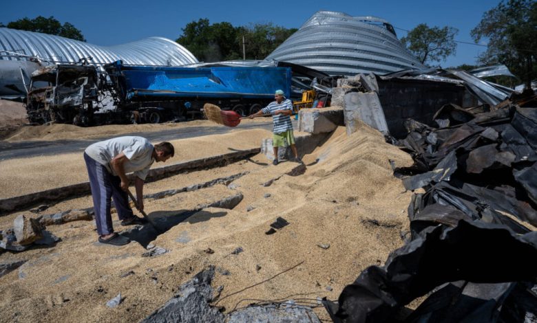 Photo of الدول المجاورة لأوكرانيا توفر طرقا لصادرات الحبوب
