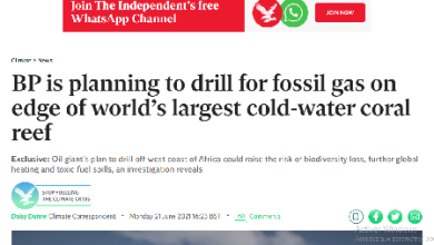 Photo of « The Independent» accuse Bp de faire courir des risques environnementaux au récif corallien en Afrique de l’Ouest