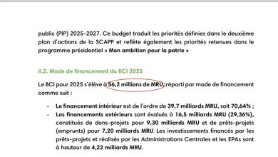 Photo of Budget : Un expert met à nue les ratés du rapport du Budget Consolidé d’Investissement