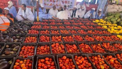 Photo of Région: Première exposition de produits agricoles en Assaba