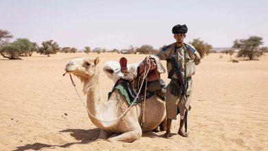 Photo of Les cavaliers du désert : la cavalerie à dos de chameau qui protège la Mauritanie contre le djihadisme