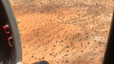 Photo of Mauritanie: trois tonnes de graines dispersées dans une nouvelle campagne de semis aériens