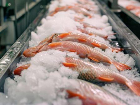 Photo of En Mauritanie, la pêche artisanale face au défi énergétique et au virage du renouvelable
