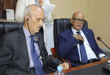 Photo of Migrants: le rapporteur spécial des NU sur le terrain évaluer les efforts déployés par les autorités