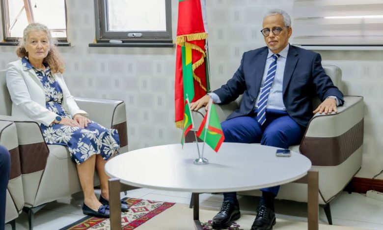 Photo of وزير الشؤون الاقتصادية والتنمية يتباحث مع المنسقة المقيمة للأمم المتحدة