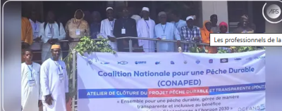 Photo of Les professionnels de la pêche invités à respecter davantage la réglementation