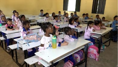 Photo of Enseignement des langues nationales : un succès grandissant selon le directeur de l’IPELAN