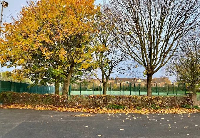 Photo of « Free Palestine Park» à Dublin, l’autre victoire des enfants martyrs de Gaza contre l’extrémisme sioniste