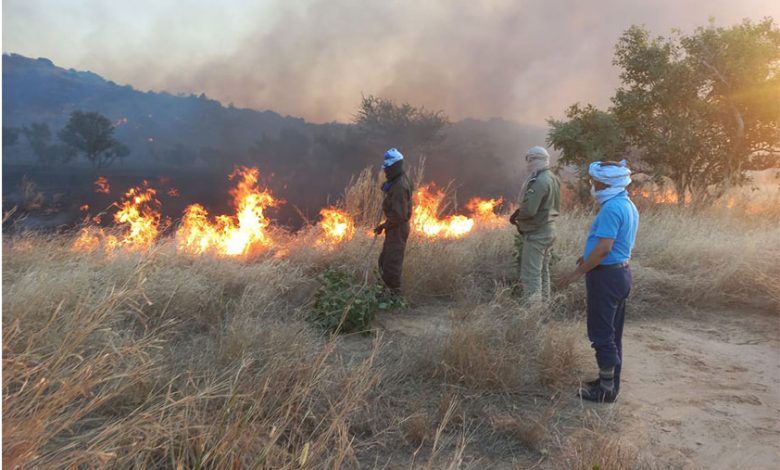 Photo of Assaba : Les feux de brousse maitrisés (officiel)