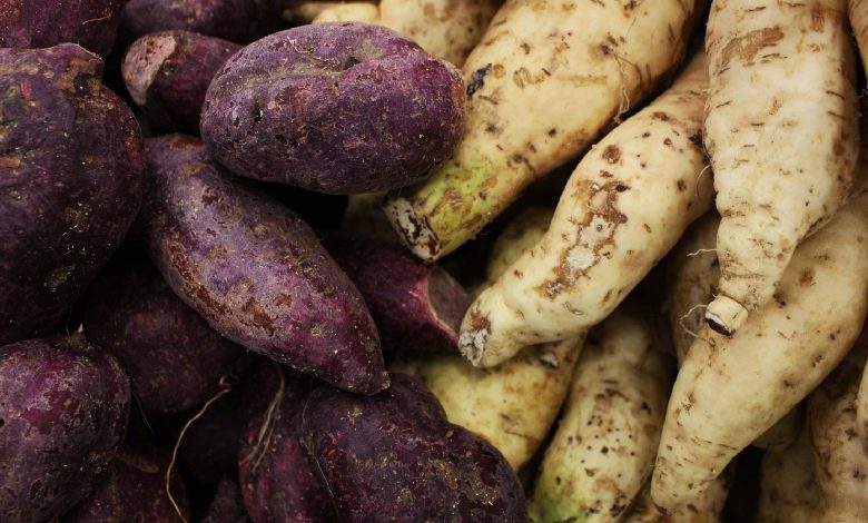 Photo of La SONADER lance un projet national d’exportation de patates douces vers l’Europe