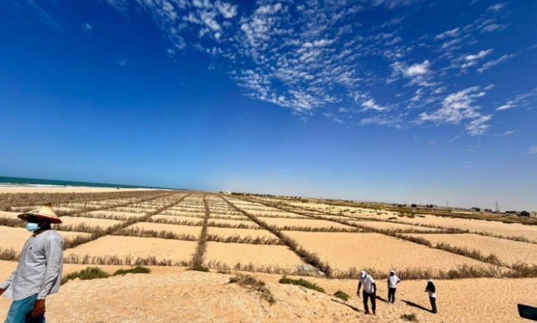 Photo of Erosion côtière / Programme Waca : Des hommes de médias en immersion sur les sites du projet en Mauritanie