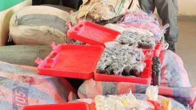 Photo of Gougui Zemal: Saisie d’une importante quantité d’explosifs