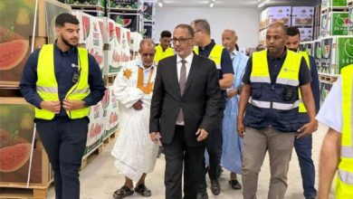 Photo of Première expédition maritime de pastèques: Cap sur Tarragone, en Espagne!
