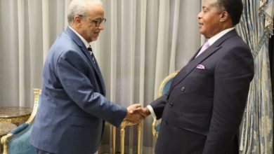 Photo of Congo : Sassou N’Guesso échange avec le ministre mauritanien des Affaires économiques
