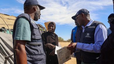 Photo of En Mauritanie, la diphtérie a déjà tué 56 personnes (OMS)