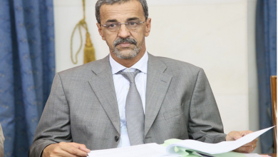 Photo of الدي ولد الزين يعلن عن تنظيم جديد لاستغلال المياه المعدنية وبدء استغلال منجم للذهب في غابو