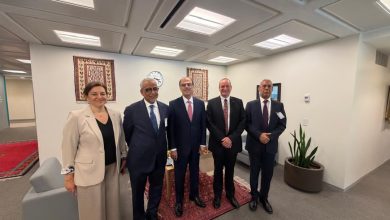 Photo of Le MAED s’entretient avec le directeur du département Moyen-Orient et Asie centrale du FMI