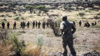 Photo of Russie-AES : condamnation d’une « collusion coupable » entre la France, l’Ukraine et les groupes terroristes au Sahel