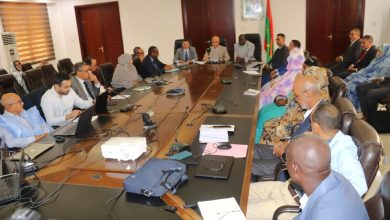 Photo of تحديث الحوكمة وإعادة هيكلة الإدارة موضوع أعمال ورشة للجنة القطاعية التاسعة ضمن خطة العمل الثالثة لاستيراتيجية النمو المتسارع