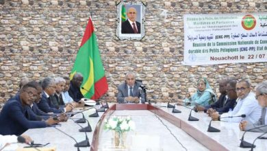 Photo of اللجنة الوطنية للإدارة المستدامة لأسماك السطح الصغيرة تناقش وضعية السردينلا وآفاق استدامة المصايد