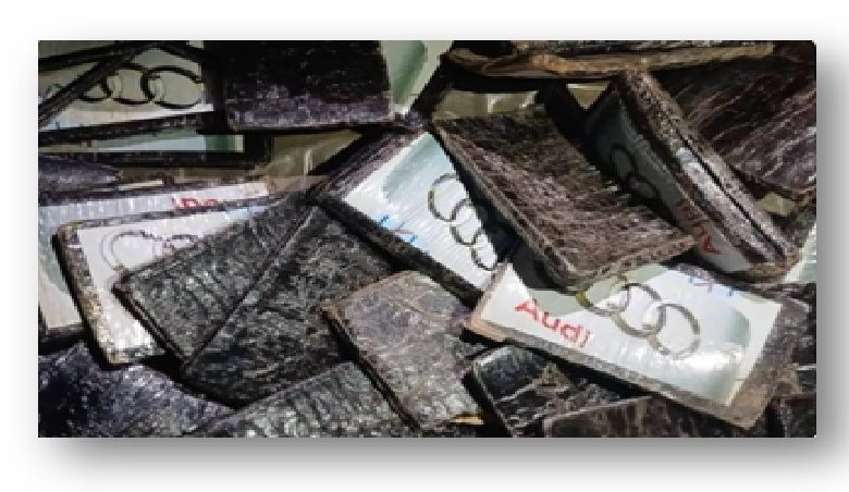 الدرك يفكك شبكة تروج المخدرات في محيط المدارس والجامعات