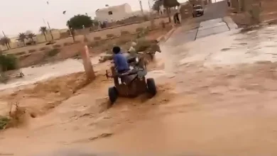 Photo of نجاة قائد عربة جرفتها السيول في ولاية تكانت