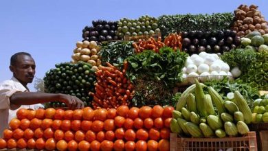 Photo of Mauritanie : Bonifiche Ferraresi en discussions pour un vaste projet agricole au Brakna