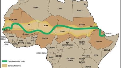 Photo of Grande Muraille verte : la Mauritanie l’un des deux meilleurs élèves