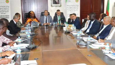 Photo of Lancement de la revue annuelle des projets de coopération entre la Mauritanie et le FIDA